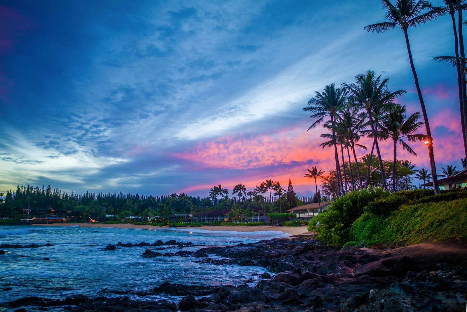 Palm trees silhouetted against an evening sky over a calm bay