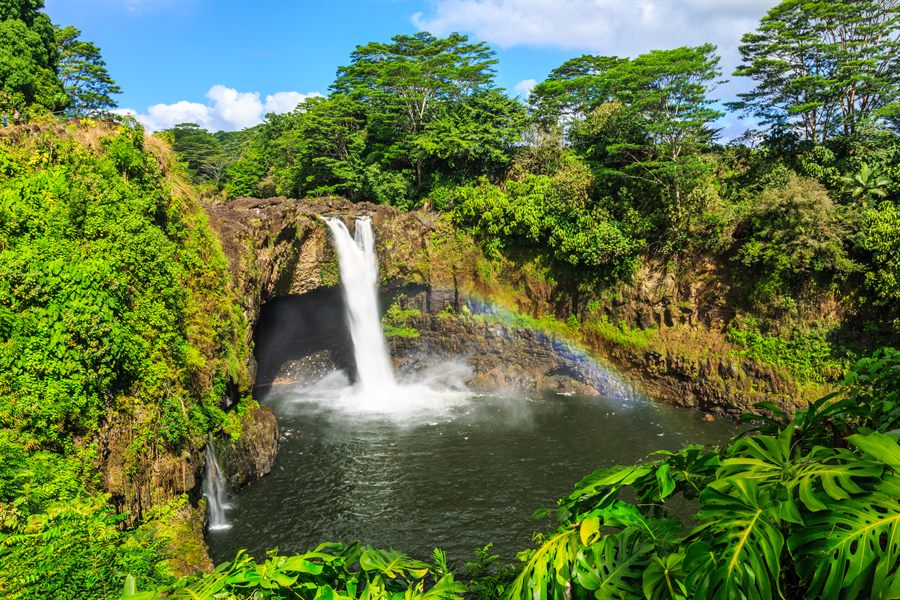 Rainbow Falls in Hilo pouring into a pool among green foliage
